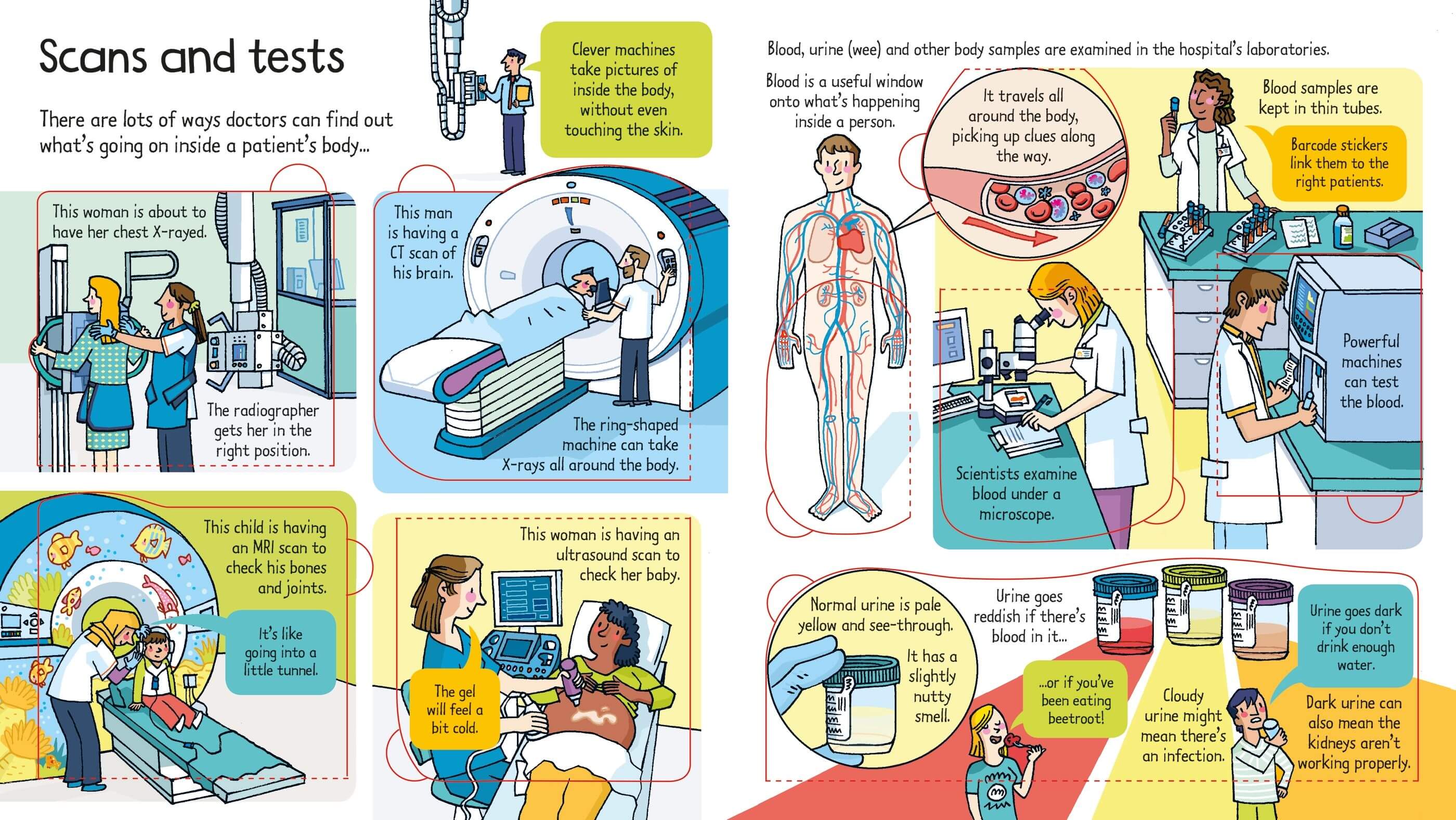 Look Inside a Hospital