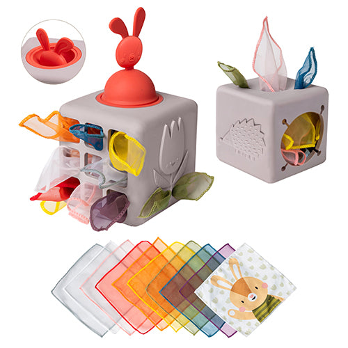 Sensory Pop Up Tissue Box