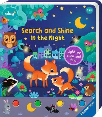 Search and Shine Book - In the Night