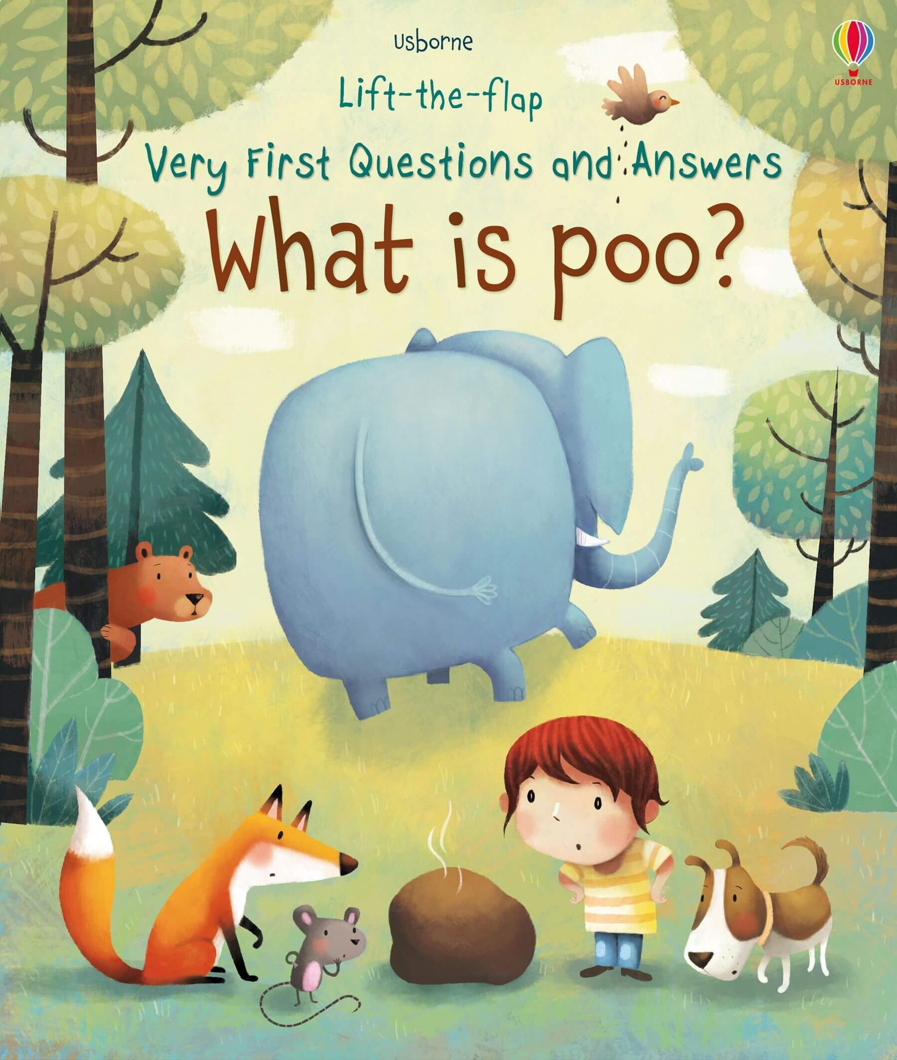 What Is Poo?