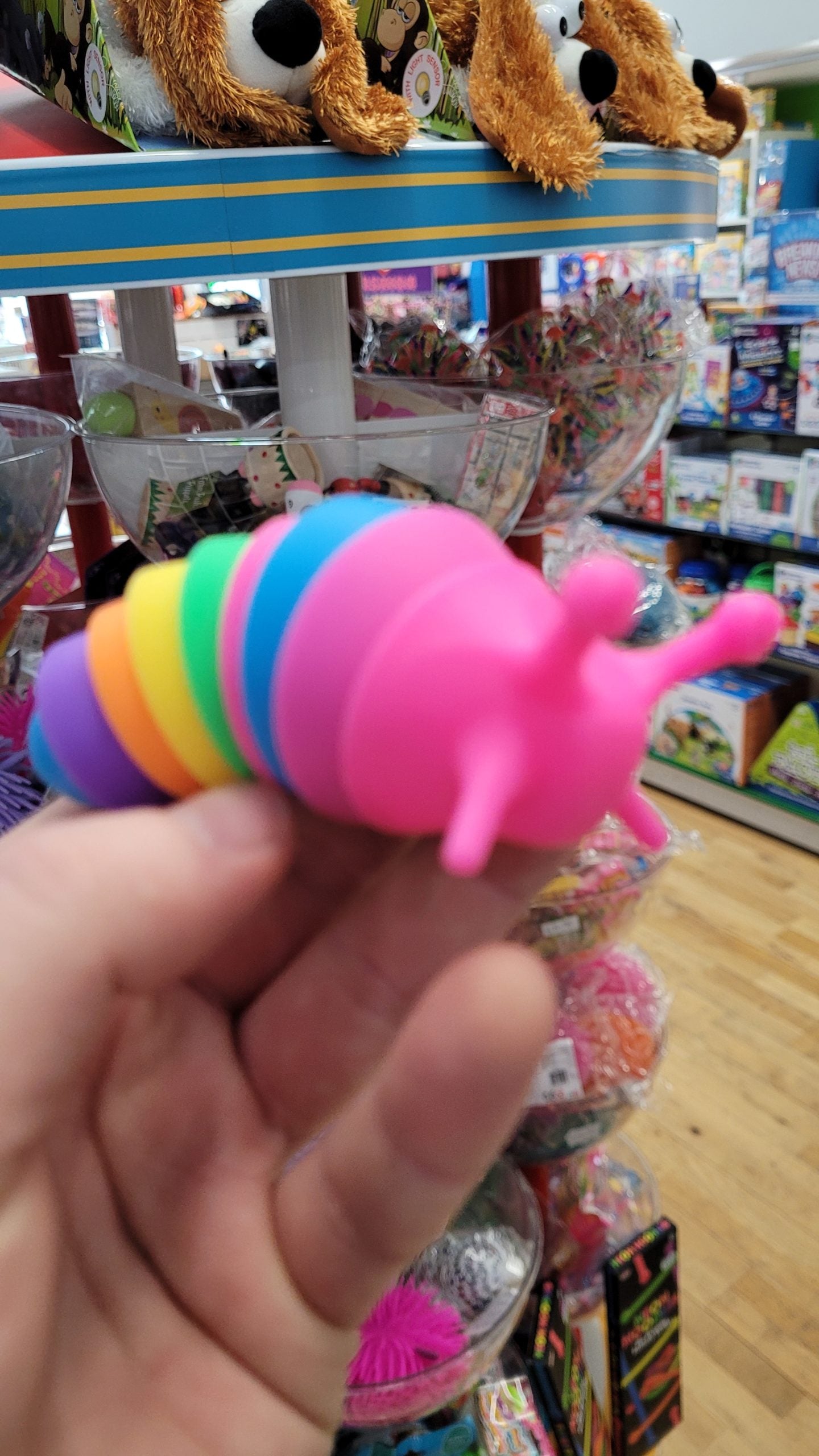 Rainbow Slug Fidget Toy Small