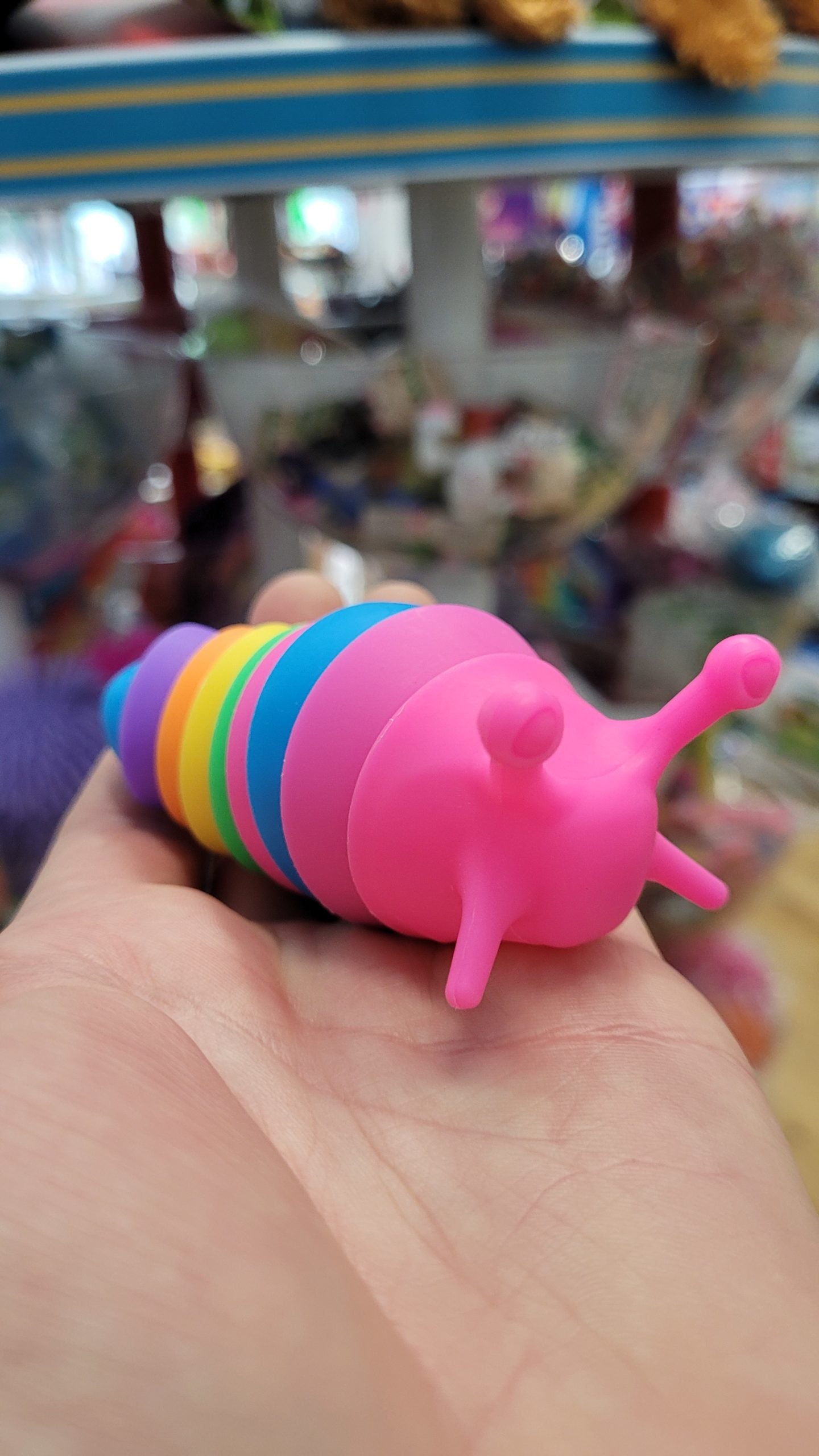 Rainbow Slug Fidget Toy Small