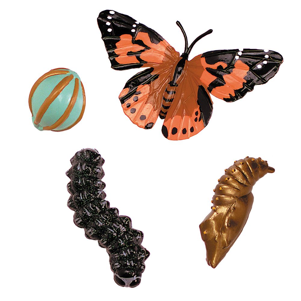 Giant Butterfly Garden (6-10 Caterpillars & Figurines) Caterpillars sent seperatley for €10.95