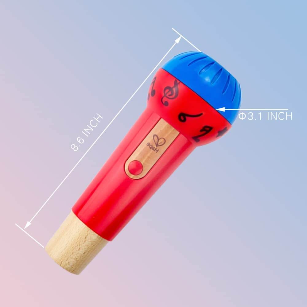 Microphone echo hot sale toy