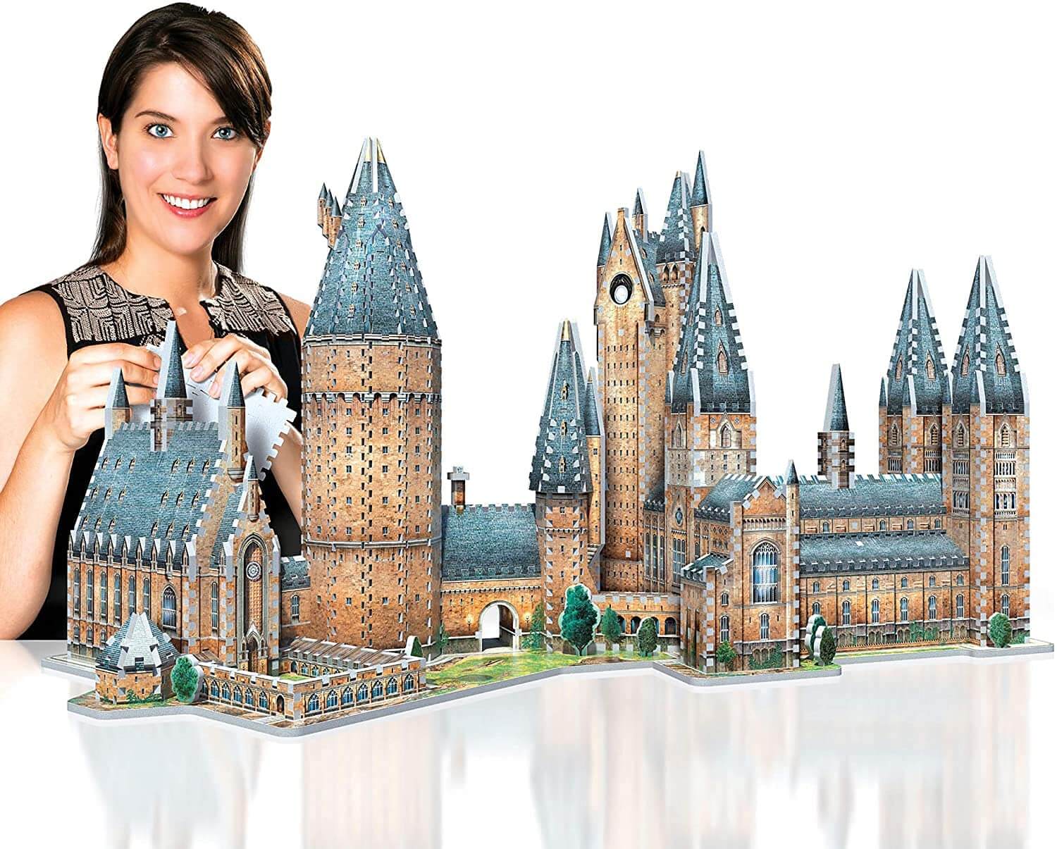 Castelo de Hogwarts de Harry Potter Quebra-cabeça 3D Revell 00311 na  Competition Hobbies